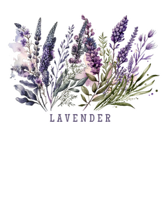 Lavender / Levendula