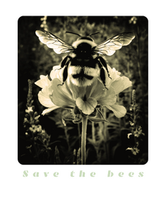 Save the bees / Mentsük meg a méheket - sötét